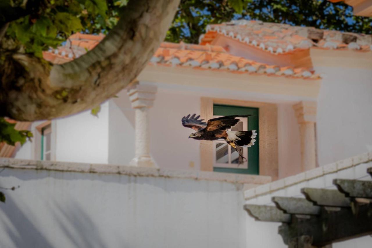 Quinta da Foz Foz do Arelho Exterior foto